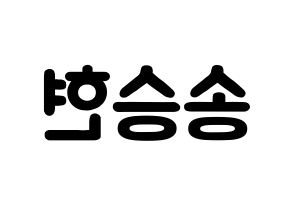 KPOP idol FTISLAND  송승현 (Song Seung-hyun, Song Seung-hyun) Printable Hangul name fan sign & fan board resources Reversed