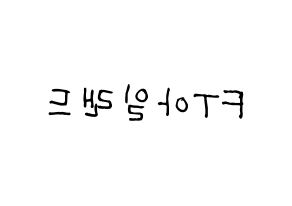 KPOP idol FTISLAND Printable Hangul Fansign concert board resources Reversed