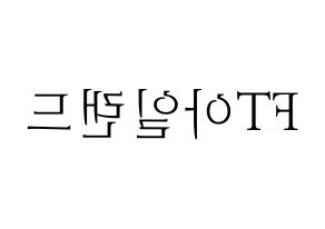 KPOP idol FTISLAND Printable Hangul fan sign & concert board resources Reversed