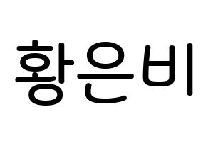 KPOP idol GFRIEND  신비 (Hwang Eun-bi, SinB) Printable Hangul name Fansign Fanboard resources for concert Normal