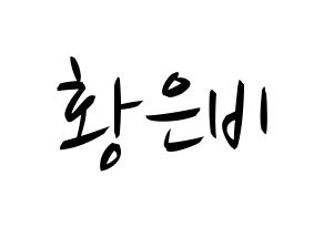 KPOP idol GFRIEND  신비 (Hwang Eun-bi, SinB) Printable Hangul name fan sign, fanboard resources for concert Normal