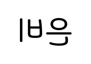 KPOP idol GFRIEND  신비 (Hwang Eun-bi, SinB) Printable Hangul name Fansign Fanboard resources for concert Reversed
