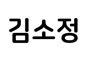 KPOP idol GFRIEND  소원 (Kim So-jung, Sowon) Printable Hangul name fan sign, fanboard resources for concert Normal