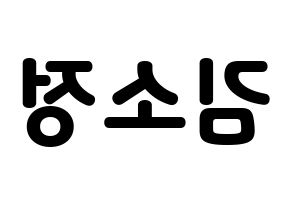 KPOP idol GFRIEND  소원 (Kim So-jung, Sowon) Printable Hangul name fan sign & fan board resources Reversed