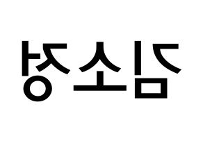 KPOP idol GFRIEND  소원 (Kim So-jung, Sowon) Printable Hangul name Fansign Fanboard resources for concert Reversed