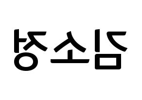 KPOP idol GFRIEND  소원 (Kim So-jung, Sowon) Printable Hangul name fan sign, fanboard resources for concert Reversed