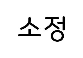 KPOP idol GFRIEND  소원 (Kim So-jung, Sowon) Printable Hangul name Fansign Fanboard resources for concert Normal