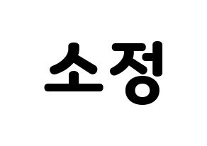 KPOP idol GFRIEND  소원 (Kim So-jung, Sowon) Printable Hangul name fan sign & fan board resources Normal