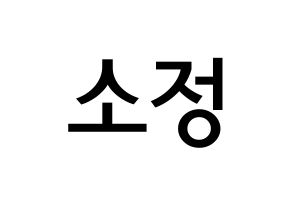 KPOP idol GFRIEND  소원 (Kim So-jung, Sowon) Printable Hangul name Fansign Fanboard resources for concert Normal
