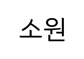 KPOP idol GFRIEND  소원 (Kim So-jung, Sowon) Printable Hangul name fan sign, fanboard resources for light sticks Normal