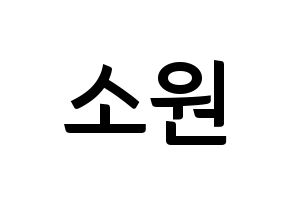 KPOP idol GFRIEND  소원 (Kim So-jung, Sowon) Printable Hangul name fan sign, fanboard resources for concert Normal