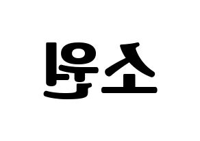 KPOP idol GFRIEND  소원 (Kim So-jung, Sowon) Printable Hangul name fan sign, fanboard resources for light sticks Reversed
