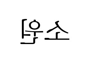 KPOP idol GFRIEND  소원 (Kim So-jung, Sowon) Printable Hangul name fan sign & fan board resources Reversed