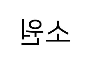 KPOP idol GFRIEND  소원 (Kim So-jung, Sowon) Printable Hangul name fan sign, fanboard resources for LED Reversed