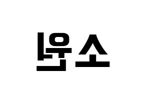 KPOP idol GFRIEND  소원 (Kim So-jung, Sowon) Printable Hangul name fan sign, fanboard resources for concert Reversed