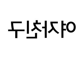 KPOP idol GFRIEND Printable Hangul Fansign Fanboard resources Reversed
