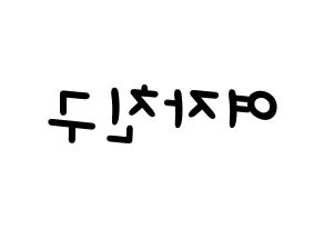 KPOP idol GFRIEND Printable Hangul Fansign concert board resources Reversed