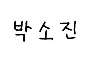 KPOP idol Girl's Day  소진 (Park So-jin, So Jin) Printable Hangul name fan sign, fanboard resources for concert Normal