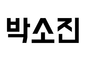 KPOP idol Girl's Day  소진 (Park So-jin, So Jin) Printable Hangul name fan sign, fanboard resources for light sticks Normal