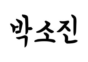 KPOP idol Girl's Day  소진 (Park So-jin, So Jin) Printable Hangul name fan sign, fanboard resources for concert Normal