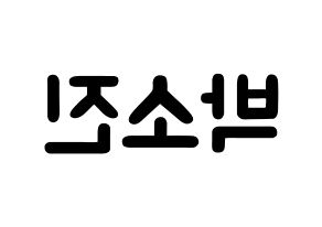 KPOP idol Girl's Day  소진 (Park So-jin, So Jin) Printable Hangul name fan sign & fan board resources Reversed