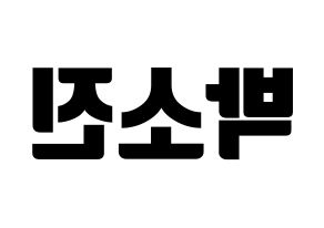 KPOP idol Girl's Day  소진 (Park So-jin, So Jin) Printable Hangul name fan sign, fanboard resources for light sticks Reversed