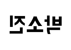 KPOP idol Girl's Day  소진 (Park So-jin, So Jin) Printable Hangul name fan sign, fanboard resources for concert Reversed