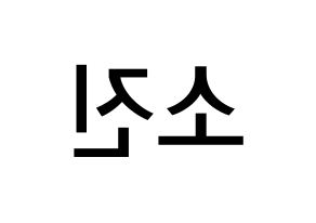 KPOP idol Girl's Day  소진 (Park So-jin, So Jin) Printable Hangul name Fansign Fanboard resources for concert Reversed