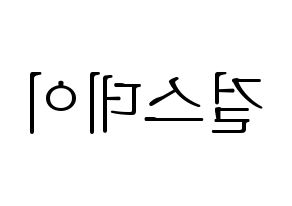 KPOP idol Girl's Day Printable Hangul fan sign & concert board resources Reversed