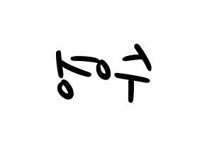 KPOP idol Girls' Generation  수영 (Choi Soo-young, Sooyoung) Printable Hangul name fan sign, fanboard resources for LED Reversed