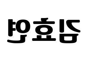 KPOP idol Girls' Generation  효연 (Kim Hyo-yeon, Hyoyeon) Printable Hangul name fan sign, fanboard resources for light sticks Reversed