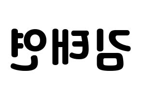 KPOP idol Girls' Generation  태연 (Kim Tae-yeon, Taeyeon) Printable Hangul name fan sign & fan board resources Reversed