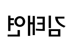 KPOP idol Girls' Generation  태연 (Kim Tae-yeon, Taeyeon) Printable Hangul name Fansign Fanboard resources for concert Reversed