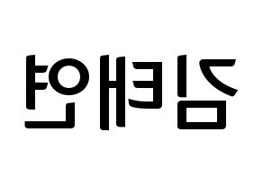 KPOP idol Girls' Generation  태연 (Kim Tae-yeon, Taeyeon) Printable Hangul name fan sign, fanboard resources for concert Reversed