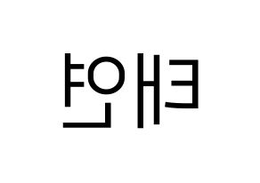 KPOP idol Girls' Generation  태연 (Kim Tae-yeon, Taeyeon) Printable Hangul name fan sign, fanboard resources for LED Reversed