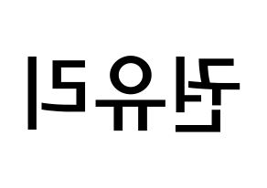 KPOP idol Girls' Generation  유리 (Kwon Yu-ri, Yuri) Printable Hangul name Fansign Fanboard resources for concert Reversed