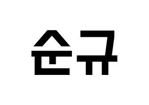 KPOP idol Girls' Generation  써니 (Lee Soon-gyu, Sunny) Printable Hangul name fan sign, fanboard resources for light sticks Normal