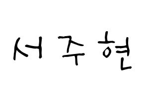 KPOP idol Girls' Generation  서현 (Seo Ju-hyun, Seohyun) Printable Hangul name Fansign Fanboard resources for concert Normal