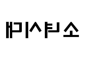 KPOP idol Girls' Generation Printable Hangul fan sign & concert board resources Reversed