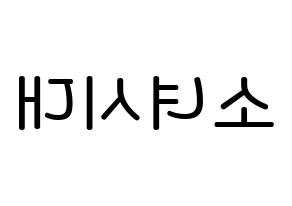 KPOP idol Girls' Generation Printable Hangul Fansign Fanboard resources Reversed