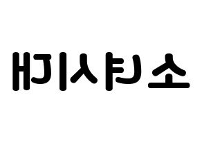 KPOP idol Girls' Generation Printable Hangul fan sign & concert board resources Reversed