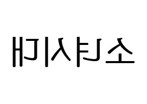 KPOP idol Girls' Generation Printable Hangul fan sign, fanboard resources for LED Reversed