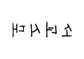 KPOP idol Girls' Generation Printable Hangul fan sign & fan board resources Reversed