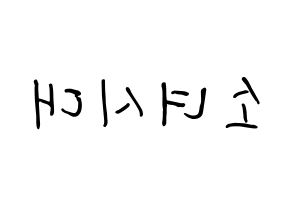 KPOP idol Girls' Generation How to write name in English Reversed