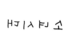 KPOP idol Girls' Generation Printable Hangul fan sign, concert board resources for light sticks Reversed
