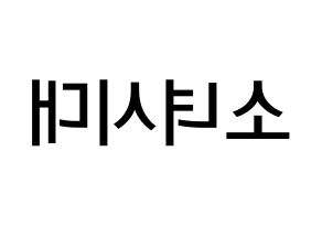 KPOP idol Girls' Generation Printable Hangul Fansign Fanboard resources Reversed