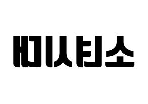 KPOP idol Girls' Generation Printable Hangul fan sign, fanboard resources for light sticks Reversed