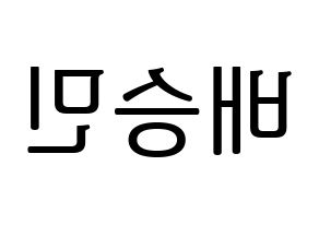KPOP idol Golden Child  배승민 (Bae Seung-min, Seungmin) Printable Hangul name fan sign, fanboard resources for LED Reversed