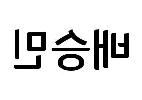 KPOP idol Golden Child  배승민 (Bae Seung-min, Seungmin) Printable Hangul name fan sign, fanboard resources for concert Reversed