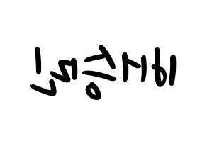 KPOP idol Golden Child  배승민 (Bae Seung-min, Seungmin) Printable Hangul name fan sign, fanboard resources for LED Reversed